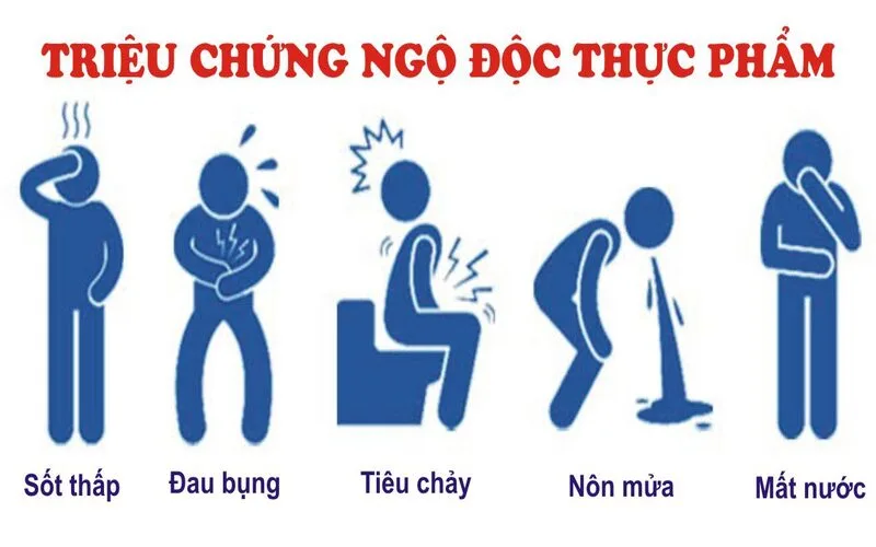 ngo doc thuc pham la gi va cach bao ve suc khoe moi ngay