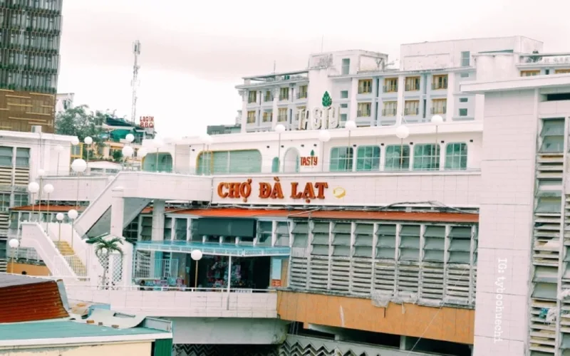 ban do du lich da lat cam nang kham pha thanh pho ngan hoa toi uu hanh trinh