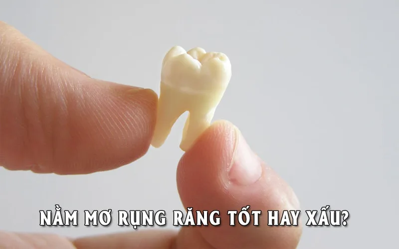 blog-image