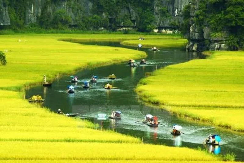 Mỗi mùa tại Ninh Bình mang đến màu sắc cảnh quan và trải nghiệm tham quan khác nhau.