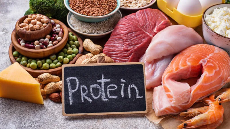Thịt, cá, trứng, sữa, đậu và đậu nành là những nguồn protein có thể góp phần hỗ trợ sửa chữa mô.