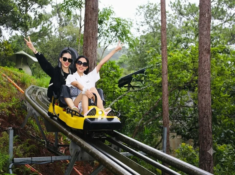 Thác Datanla hấp dẫn du khách với Alpine Coaster, thử thách trên cao và khung cảnh rừng thông đặc trưng của Đà Lạt.