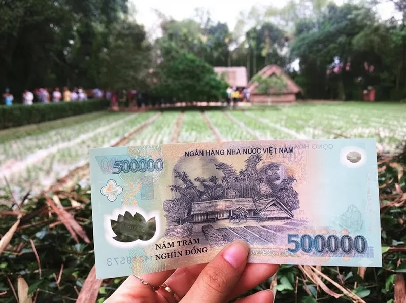 Sau khi mơ thấy nhiều tiền 500 nghìn, bạn nên quan sát cảm xúc và tình hình thực tế thay vì vội xem đó là dự báo tương lai.